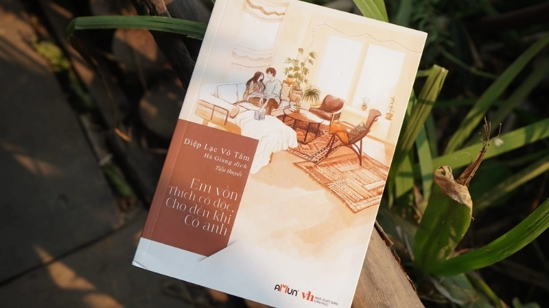 Giới thiệu chung truyện Em Vốn Thích Cô Độc Cho Đến Khi Có Anh