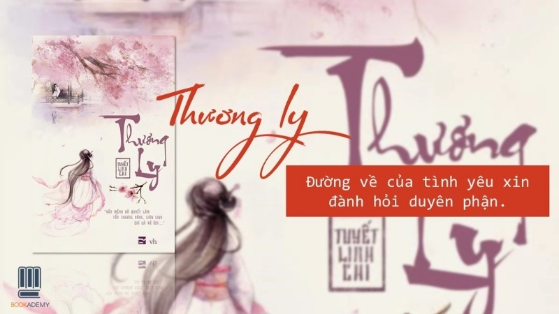 Giới thiệu chung về truyện Thương Ly