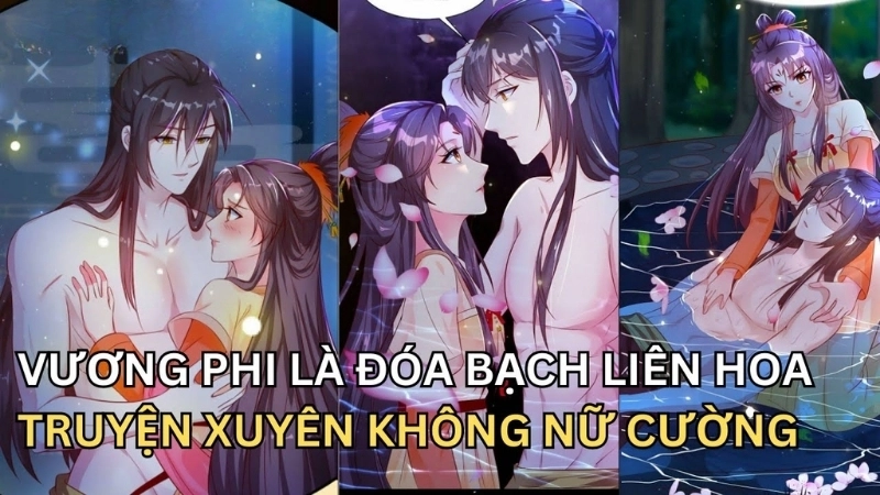 Giới thiệu khái quát về tác giả và tác phẩm Vương phi là đóa bạch liên hoa