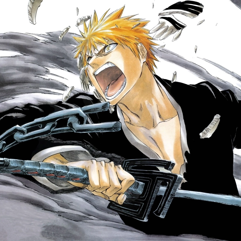 Kurosaki Bleach góp phần tạo nên sức hút mãnh liệt của bộ truyện