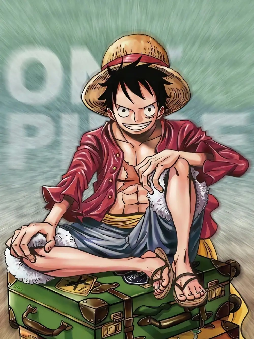 Monkey D. Luffy là thuyền trưởng băng Mũ Rơm