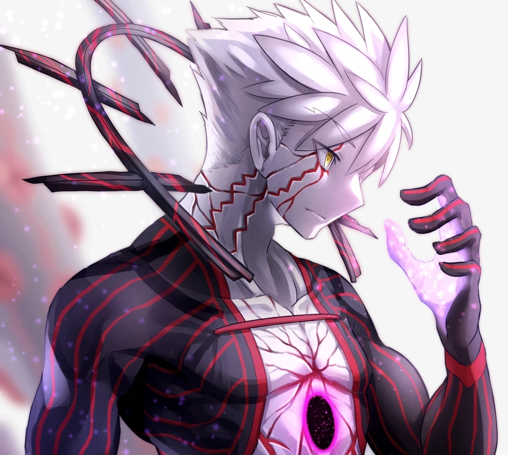 Giới thiệu về nhân vật Shirou Emiya 