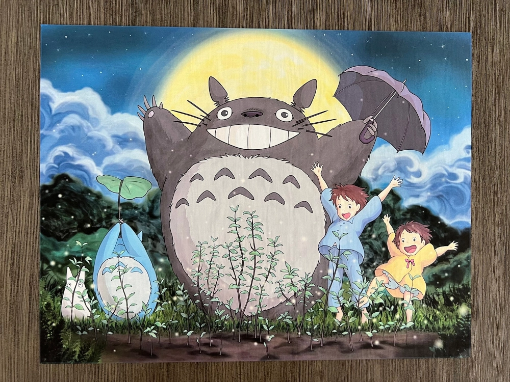 Totoro là con gì sinh vật rừng kỳ bí với vẻ ngoài dễ thương