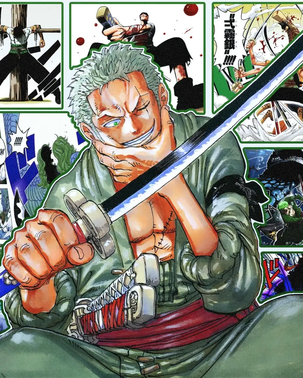 Zoro là kiếm sĩ tài ba của băng Mũ Rơm trong One Piece