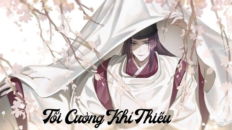 Thông tin chung về Tối Cường Khí Thiếu