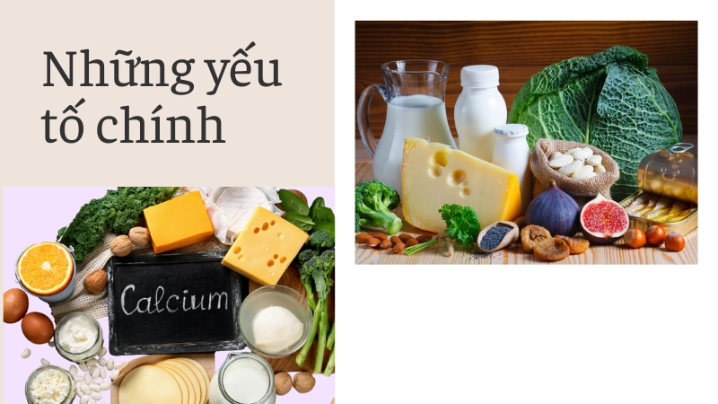 Chế độ dinh dưỡng giàu canxi giúp phát triển chiều cao tối ưu