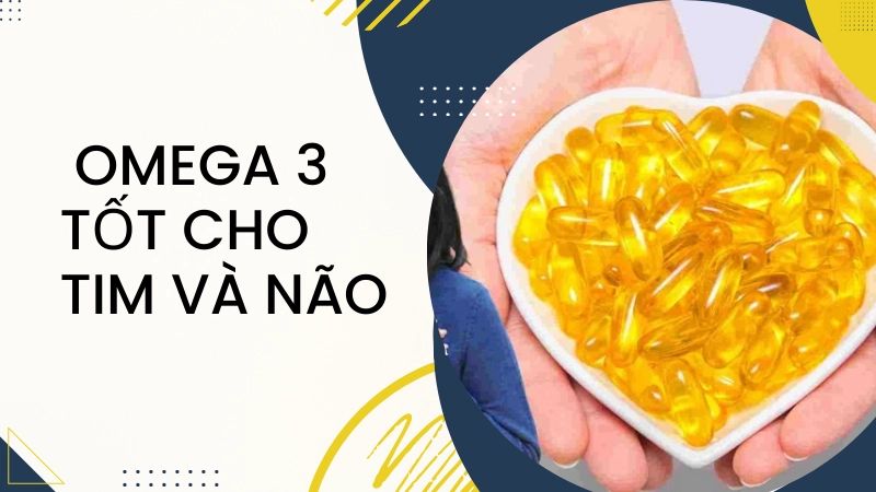 Lợi ích vàng của Omega 3 đối với tim mạch và trí não